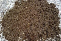 怎樣用多菌靈給土壤消毒，多菌靈可防治哪些病
