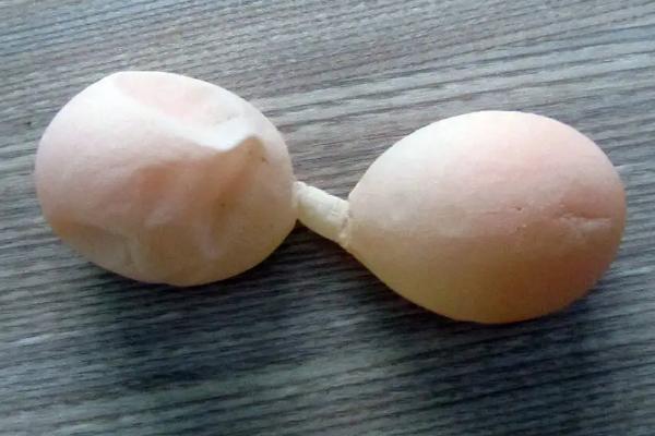 雞下軟蛋怎么辦、如何防治