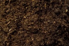 什么是基質(zhì)土 基質(zhì)土的配制方法是什么？
