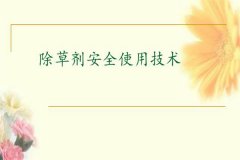 除草劑安全使用要點(diǎn) 發(fā)生除草劑藥害如何補(bǔ)救？