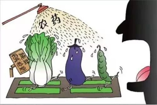 怎樣合理使用農(nóng)藥，防止農(nóng)藥對蔬菜的污染