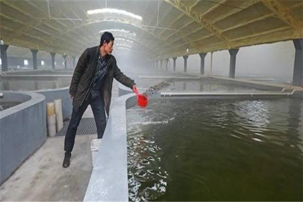 pH值。表示水的酸堿度