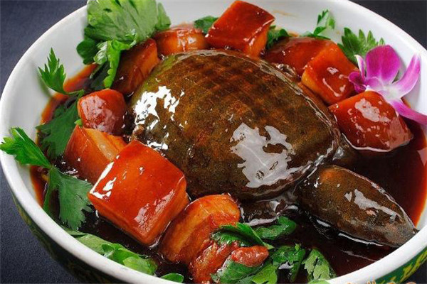 甲魚的營(yíng)養(yǎng)價(jià)值、性味功效