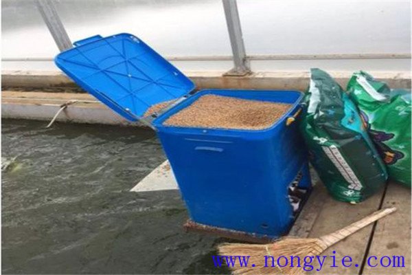 魚飼料的一般營(yíng)養(yǎng)成分及其功能如何