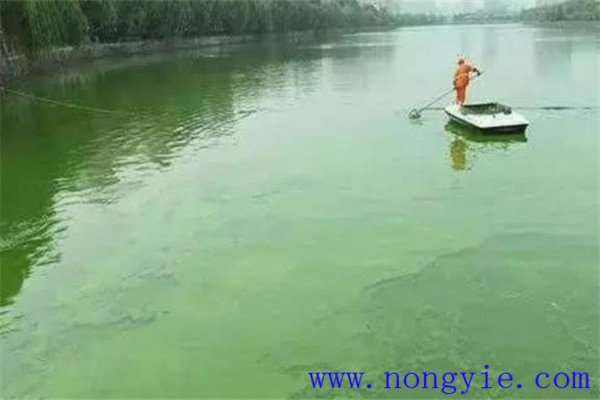 調(diào)，即調(diào)節(jié)水質(zhì)