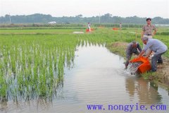 稻田養(yǎng)魚的現(xiàn)代養(yǎng)殖模式有哪些新的變化？