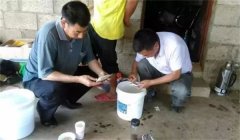 魚病治療中的發(fā)現(xiàn)、送診、用藥問題