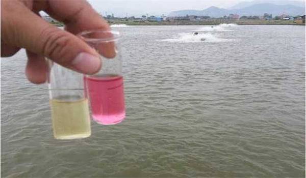 水產亞硝酸鹽中毒癥狀