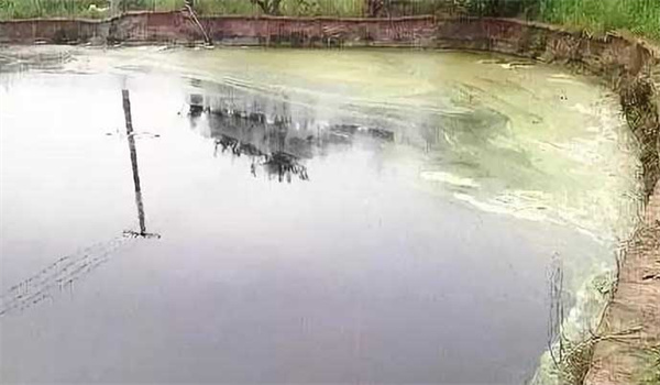 水產亞硝酸鹽高怎么降下來