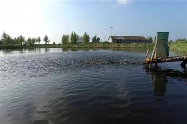 魚(yú)池面積、水深和底質(zhì)