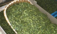 炒青綠茶加工分哪幾道工序、具體方法是什么？