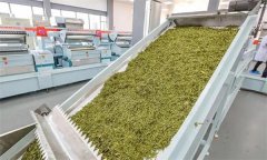 扁形名優(yōu)綠茶機(jī)械加工的具體方法是什么？