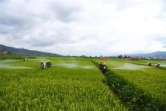 蔬菜病蟲害綠色防控技術主要有哪些？