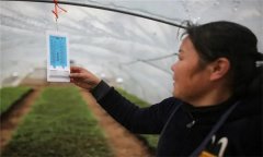 溫度對農(nóng)作物生長發(fā)育的影響有哪些方面？