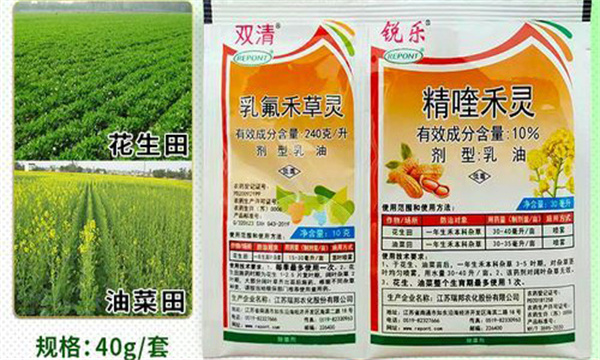 乳氟禾草靈應用技術(shù)要點