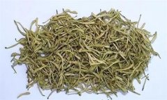 如何科學(xué)飲用金銀花茶？需注意哪些事項(xiàng)？