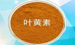 什么是葉黃素？哪些蔬菜富含葉黃素？
