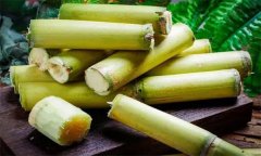 如何選購(gòu)、儲(chǔ)存甘蔗？食用甘蔗應(yīng)注意事項(xiàng)
