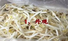 如何挑選豆芽？有根豆芽與無(wú)根豆芽有什么區(qū)別