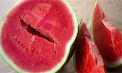 無(wú)籽西瓜是怎么留種的？如何減少西瓜瓜籽？
