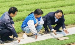 如何處理擱田與治蟲的關(guān)系，怎樣保護(hù)稻田蜘蛛