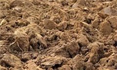 土壤肥力失衡、土壤質量下降、土壤酸化怎么辦