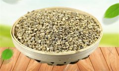 菠菜生長發(fā)育的過程是怎樣的？