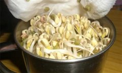 生產(chǎn)綠豆芽苗菜如何進行沖淋水？