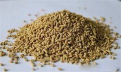 雞飼料中可以添加膽堿嗎？